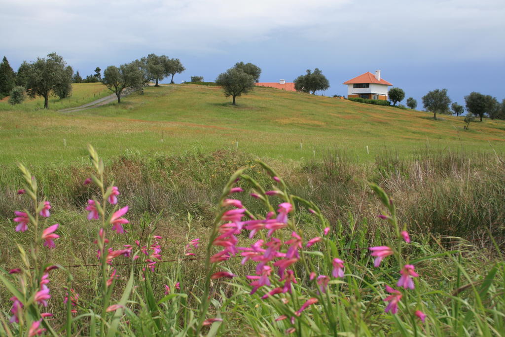 Villa O Vale Da Mudanca Monte da Pedra Alva Zimmer foto